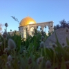 al-aqsa